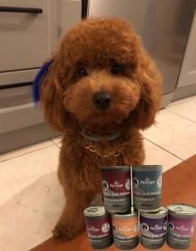 Merhaba Pet Chef Ailesi.