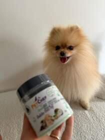 Sevgili Rafet Şefimin Lavi'nin İçin Hazırladığı Mamalar