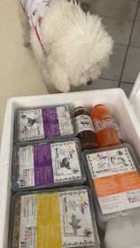 2023 Yılında Yaşadığımız Ciddi Sağlık Sorunu