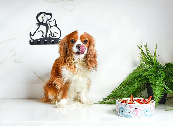 Arkadaş dediğin arkadaşlarını davet eder.