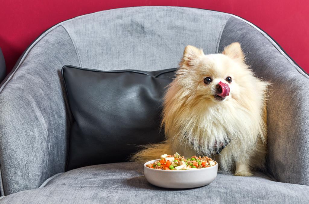 Sevgili PetChef Ekibi ve Tüm Tüylü Köpek Sahiplerine Merhaba.