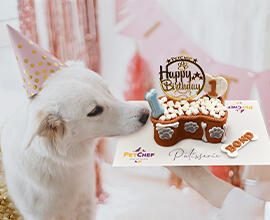 Doğum Günü Pastaları