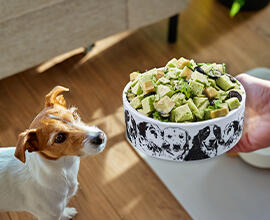 Hipoalerjenik Fresh Galantin