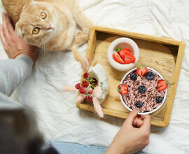 Chef Veteriner Desteği