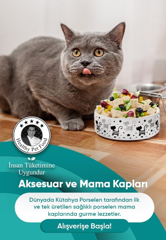 Mama Kapları