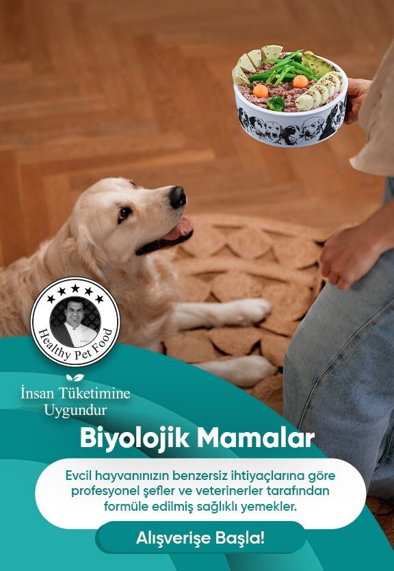 Biyolojik Mama