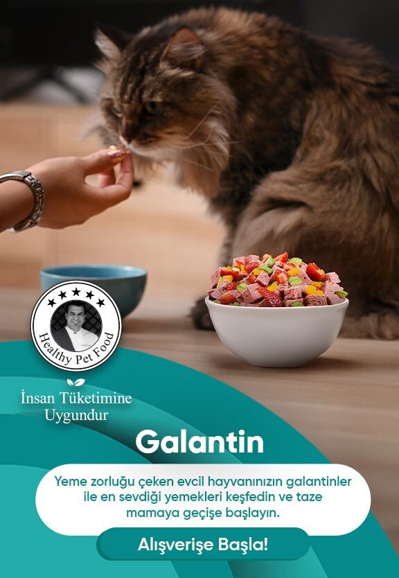 Galantin