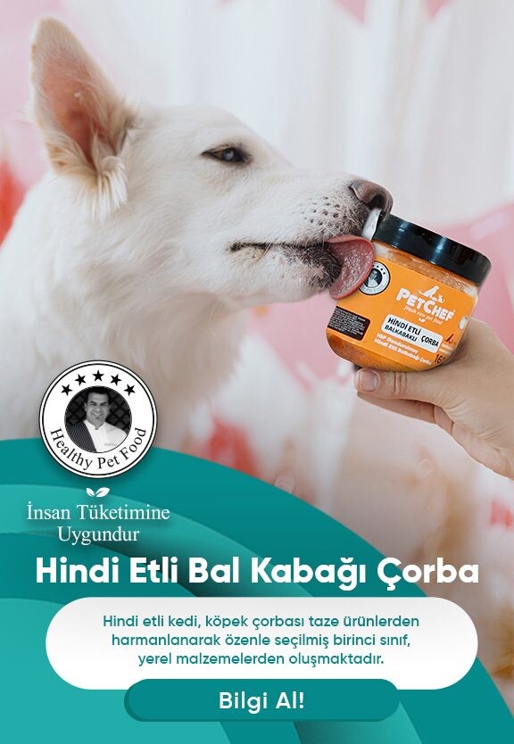 Hindi etli bal kabağı çorba