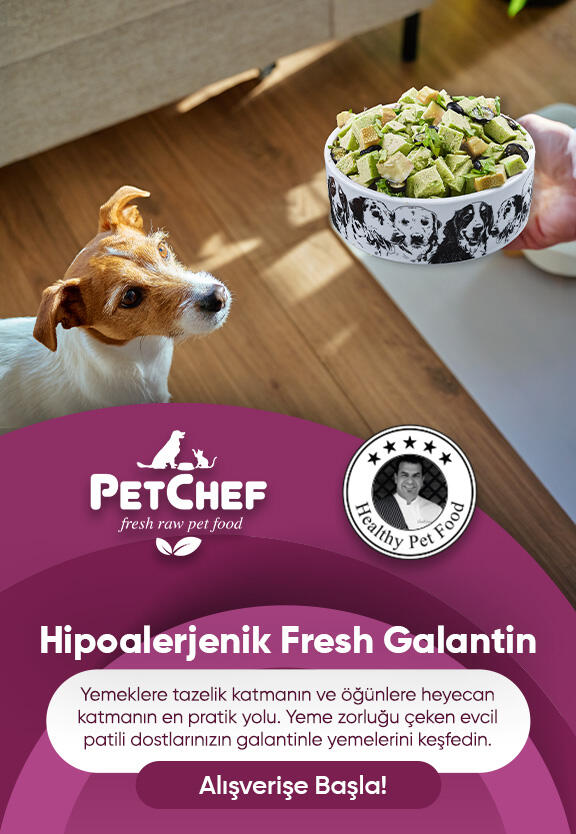 Hipoalerjenik Galantin