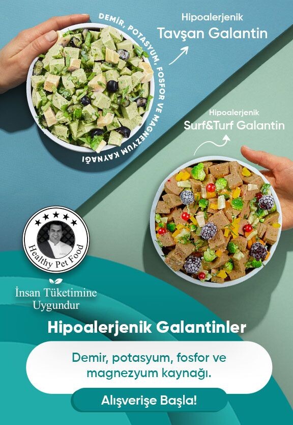 Hipoalerjenik Galantin