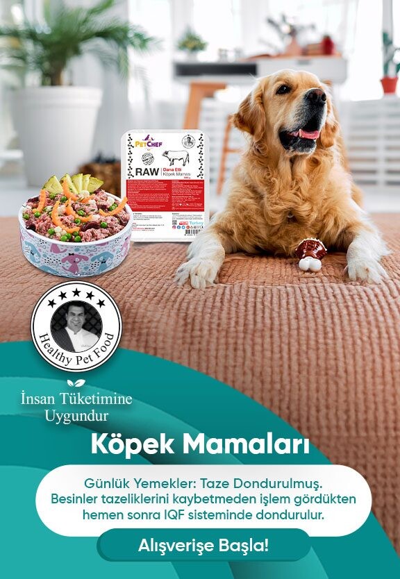 Köpek
