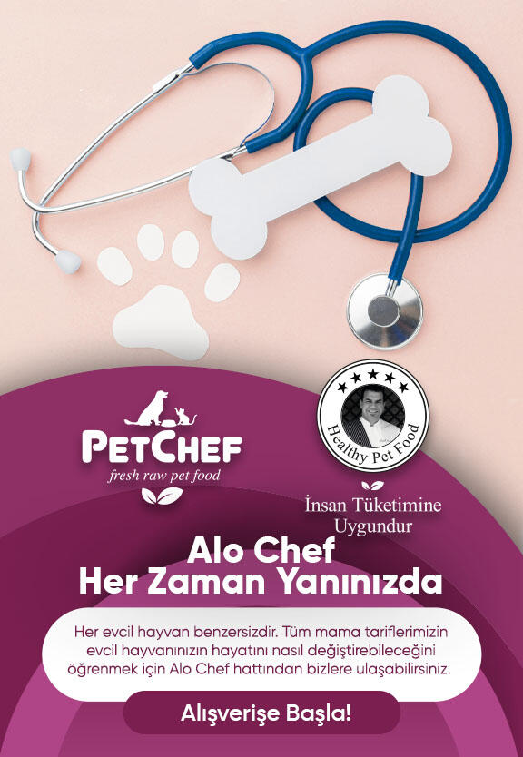 Alo Şef