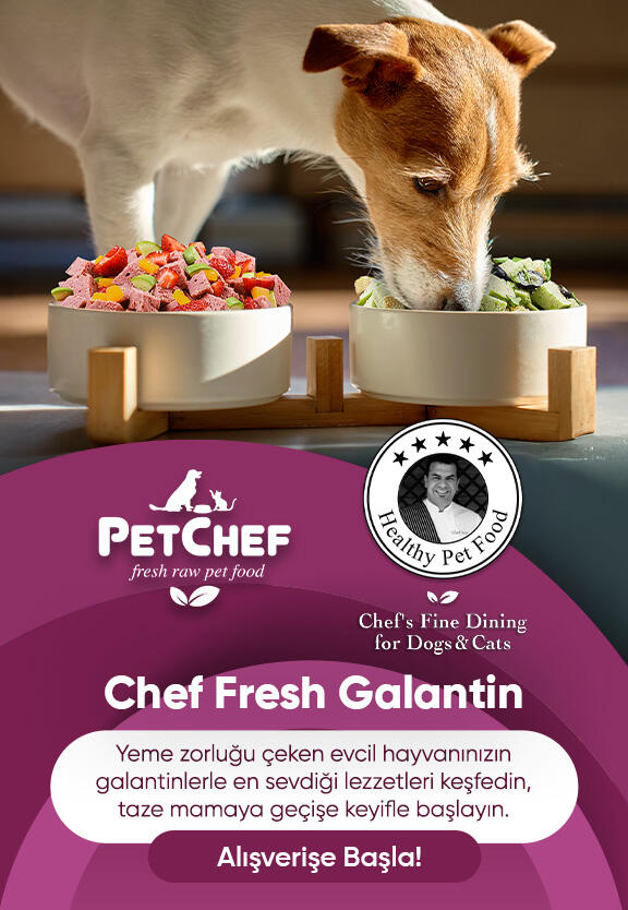 Hipoalerjenik Galantin