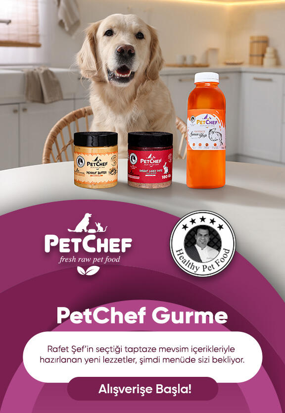 petchef grume