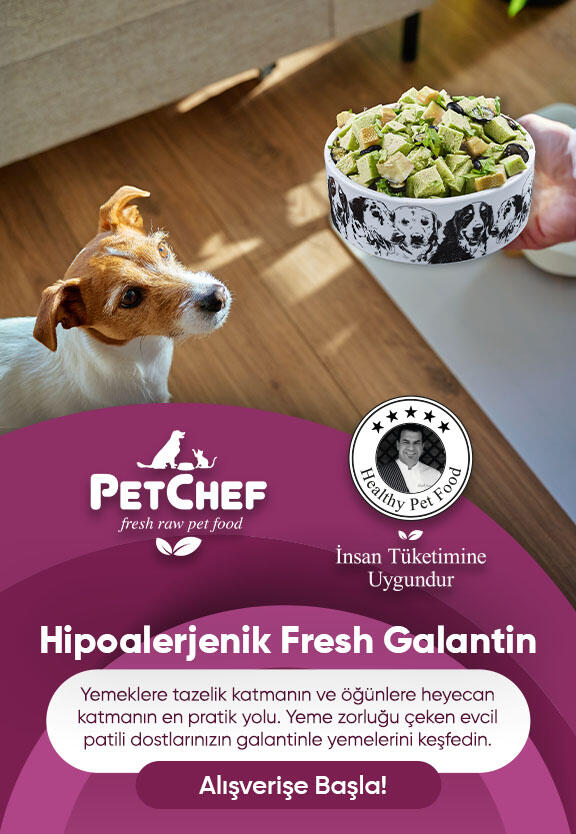 Hipoalerjenik Galantin