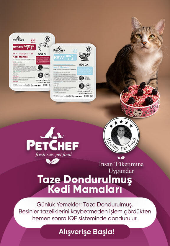 Kedi mamaları