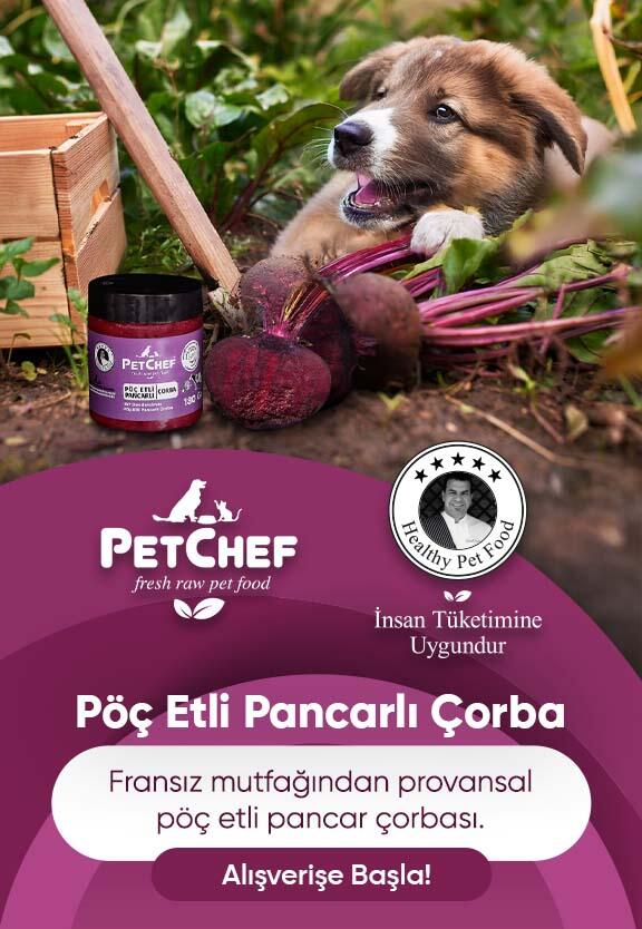 pöç etli pancarlı çorba