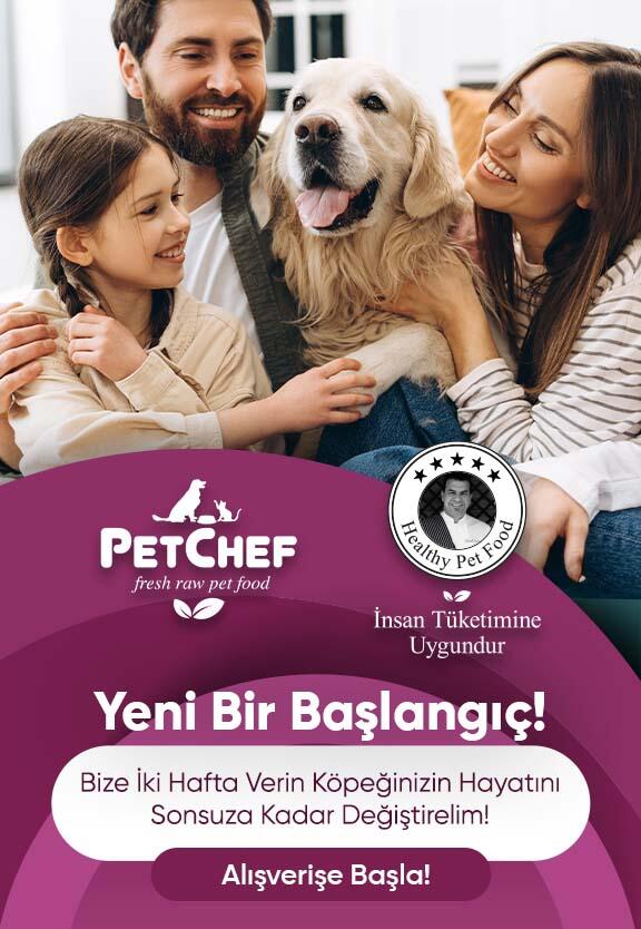 Yeni Bir Başlangıç