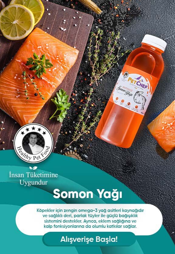 Somon Yağı
