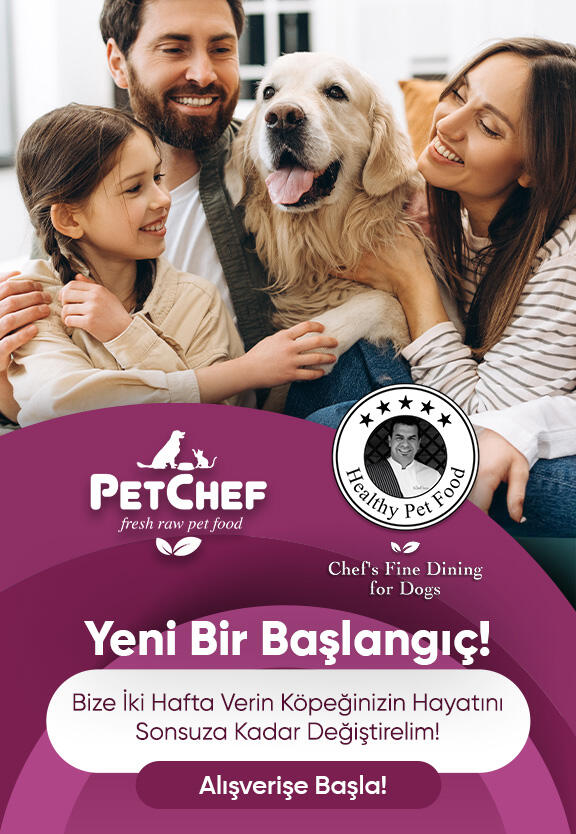 Yeni Bir Başlangıç