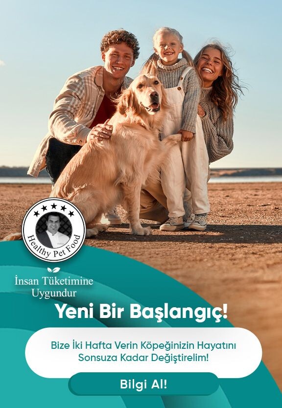 Yeni Bir Başlangıç