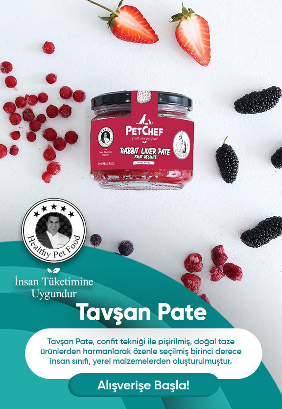 tavşan pate
