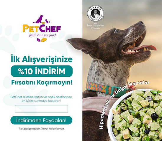 Petchef_popup_dusukboyut.jpg (122 KB)
