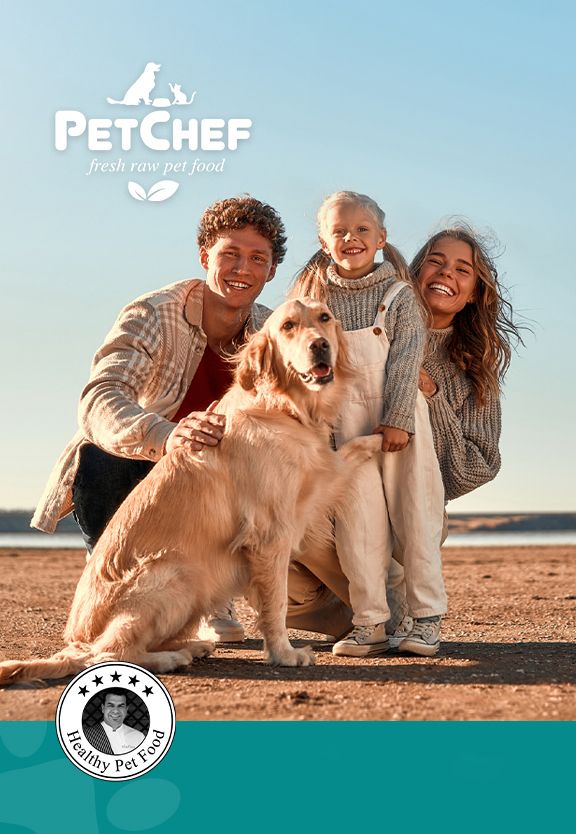 müşteri hizmetleri