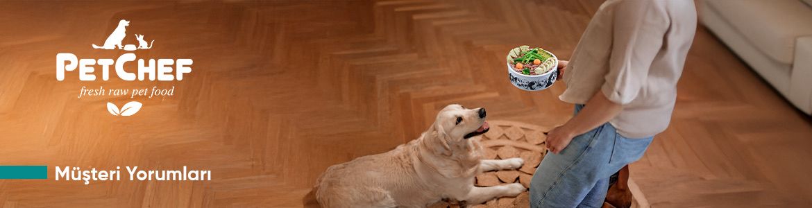 müşteri hizmetleri