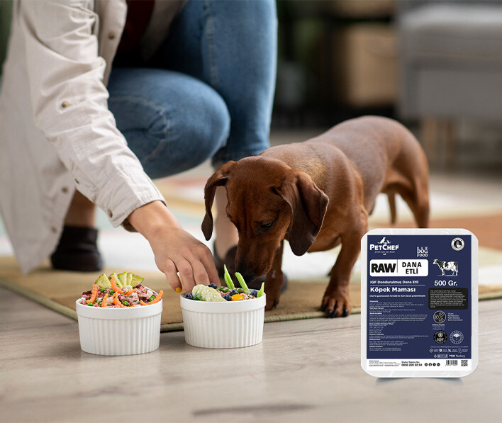 Köpekler İçin En İyi Beslenme Zamanı Nedir?  