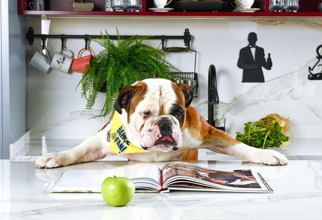 Otlar ve Baharatlar: Köpekler Hangi Baharatları Yiyebilir?