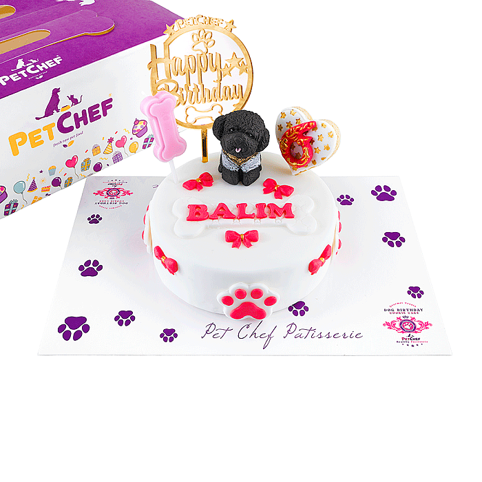 Fresh Gourmet Patisserie Balım Pasta - Gourmet Fine Dining Cat & Dogs Patisserie