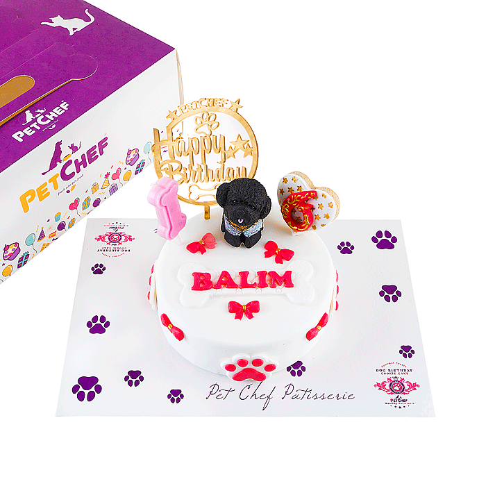 Fresh Gourmet Patisserie Balım Pasta - Gourmet Fine Dining Cat & Dogs Patisserie (1)