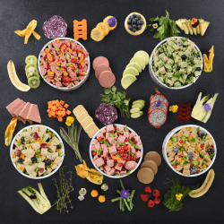 Chefin Tadım Menüsü Hipoalerjenik Galantin 3 Kg (6x500 gr) - PetChef