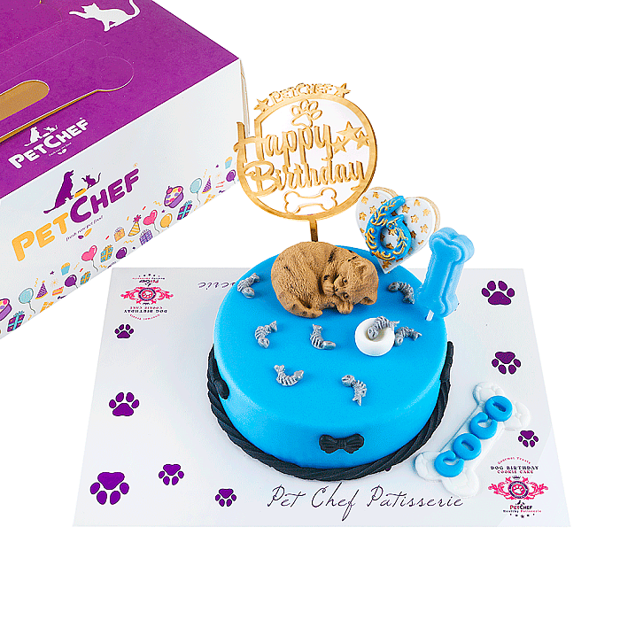 Fresh Gourmet Patisserie Coco Pasta - Gourmet Fine Dining Cat & Dogs Patisserie (1)