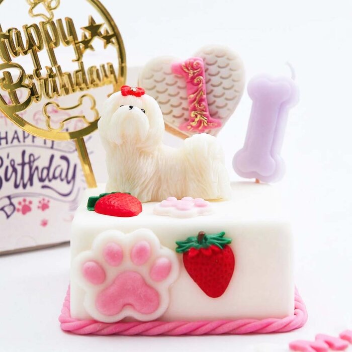 Fresh Gourmet Patisserie Mia Pasta - Gourmet Fine Dining Cat & Dogs Patisserie (1)