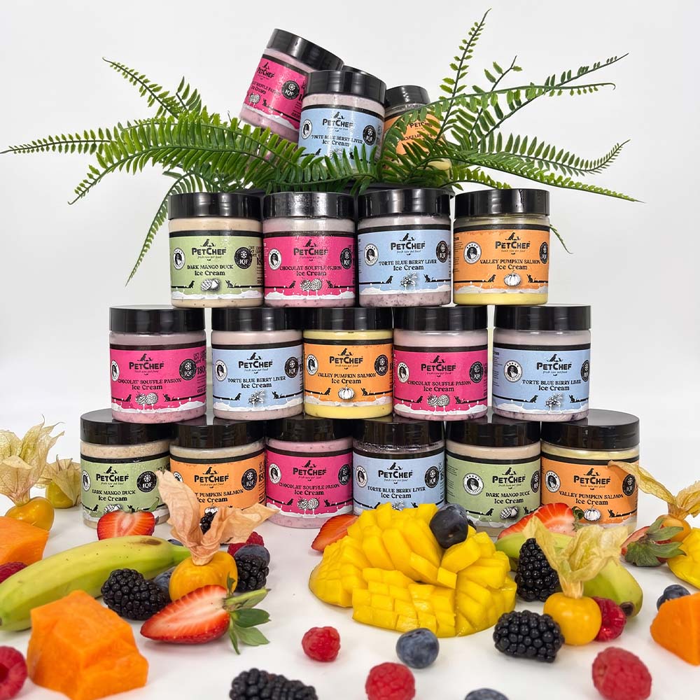 Mixed Pack Ice Cream / Dondurma