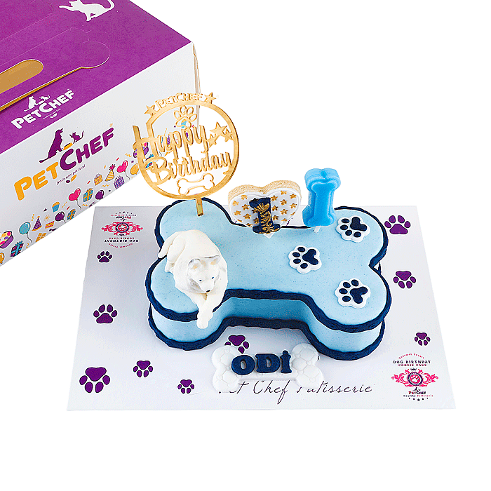 Fresh Gourmet Patisserie Odi Pasta - Gourmet Fine Dining Cat & Dogs Patisserie (1)