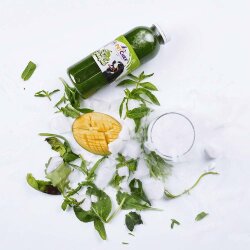 Fit Smoothie 1500 gr - PetChef (1)