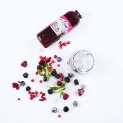 Pinot Smoothie 1500 gr - PetChef (1)