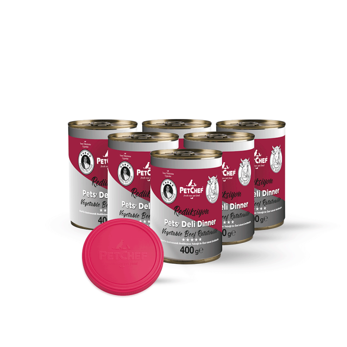 Sebzeli Dana Ratatouille - PetChef