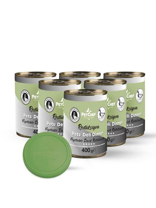 Sebzeli Ördek Ratatouille - PetChef