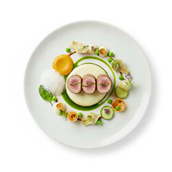 Vegetable Rabbit Ratatouille - PetChef (1)