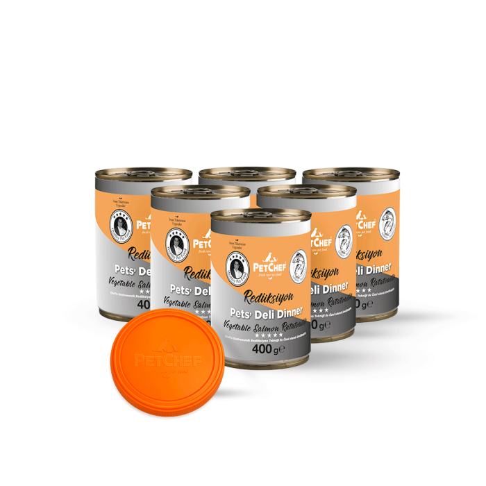 Sebzeli Somon Ratatouille - PetChef