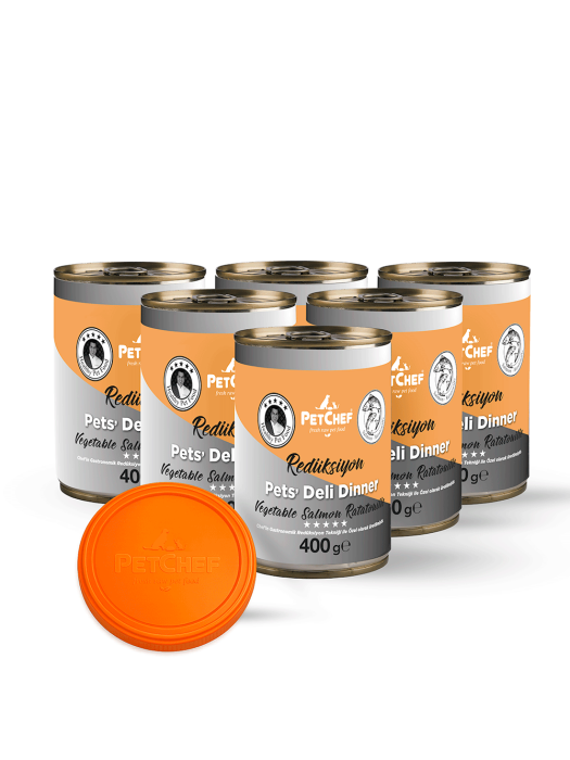 Sebzeli Somon Ratatouille - PetChef