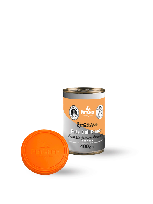 Sebzeli Somon Ratatouille - 3